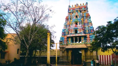 சௌந்தரராஜப் பெருமாள் கோவில்